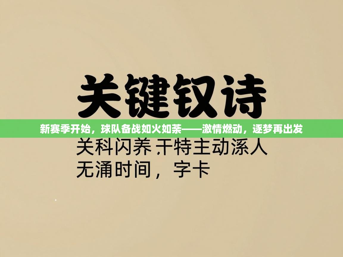 新赛季开始,球队备战如火如荼——激情燃动,逐梦再出发 第2张